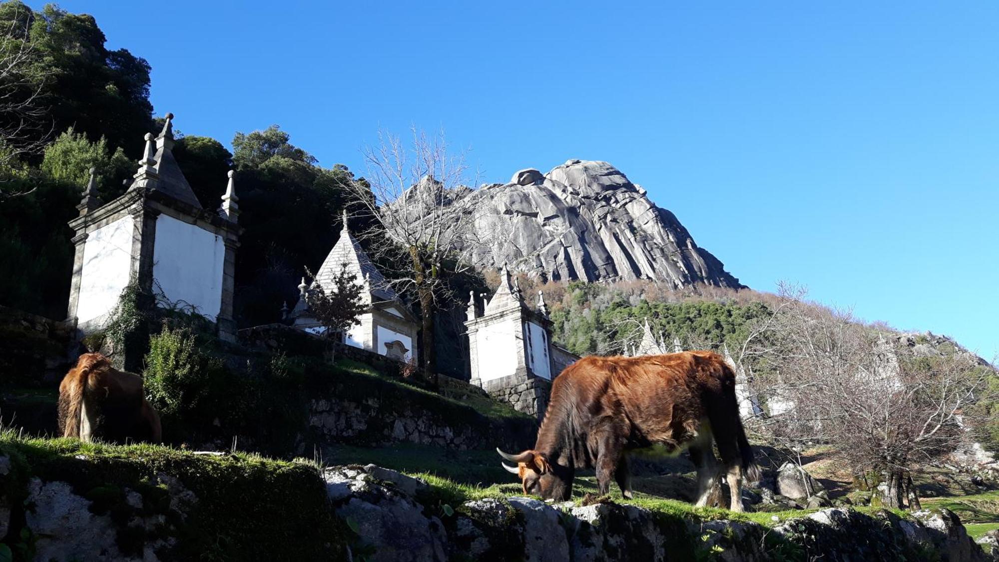 Penedino Mountain Cottage Arcos de Valdevez Zewnętrze zdjęcie