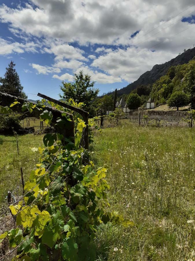 Penedino Mountain Cottage Arcos de Valdevez Zewnętrze zdjęcie